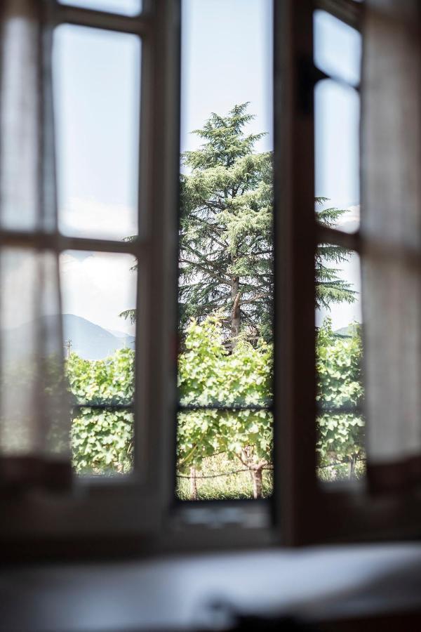Weingut Kornell - Schafferhaus Cosmas Und Zeder Apartment Terlano Exterior photo